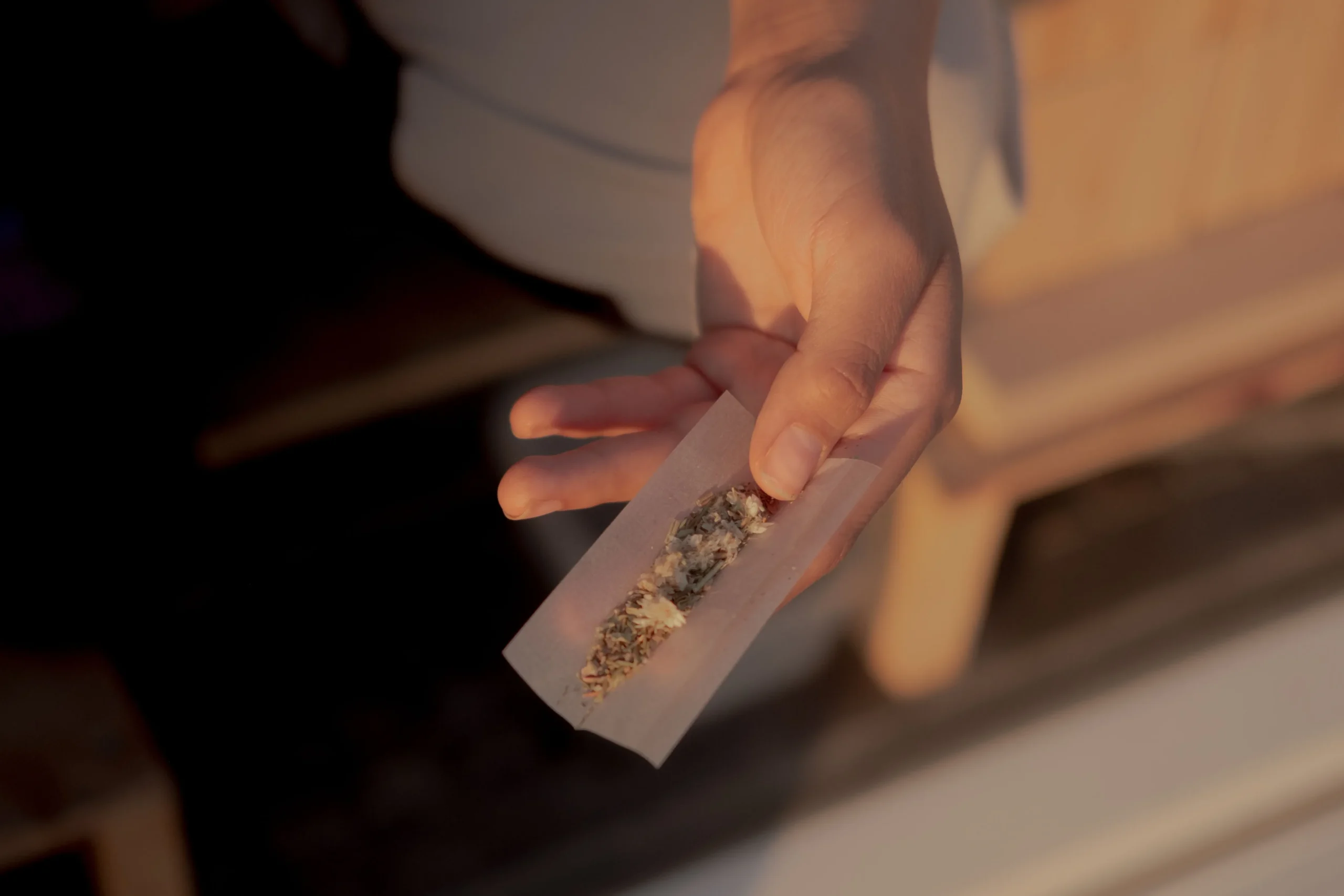 Premium rolling papers in multiple materials and sizes displayed in North Miami